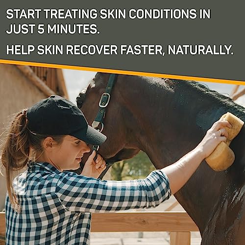 Absorbine Silver Honey Rapid Skin Relief Medicated Shampoo, Medical Grade Manuka Honey & Microsilver Bg, Rejuvenating, Soothing & Hydrating, 16 Fl Oz #TOP3