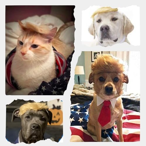 Peluca rubia para perro con corbata, disfraz cosplay miniatura 3