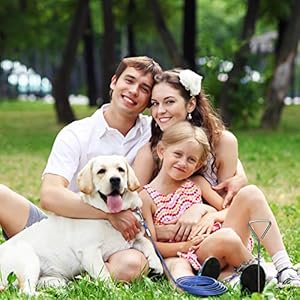 Dog Tie Out Cable and Stake, 20ft Outside Dog Leash&Chain for Camping and Yard, 16” Heavy Duty Anti Rust Spiral Stake for Medium-Large Dogs Up to 125 lbs (20FT, Blue)