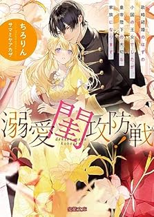 TL小説 文庫本 まとめ売り 80円商品　ティアラ文庫　蜜猫文庫　ヴァニラ文庫 TL小説 文庫本 まとめ売り 80円商品 ティアラ文庫 蜜猫文庫