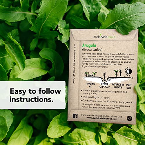 Salad Greens Seeds Kit – Bulk Leaf Lettuce, Bibb, Romaine, Kale, Arugula, Spinach, Swiss Chard Seeds For Planting – Leafy Greens For Indoor Hydroponic Or Outdoor Organic Vegetable Garden, 100% Non-Gmo #TOP7