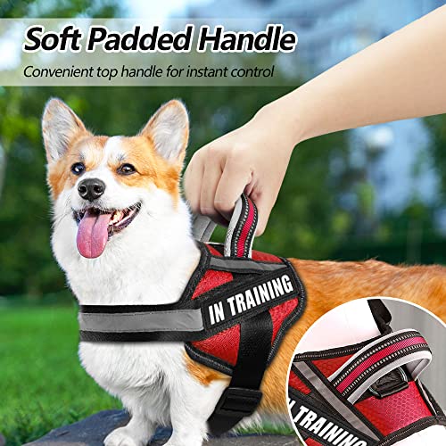 Dog Vest Harness And Patches Set, Animire In Training Service Dog Harness With 8 Dog Patches, Reflective Dog Vest With Handle For Small, Medium, Large, And Extra-Large Dogs #TOP3