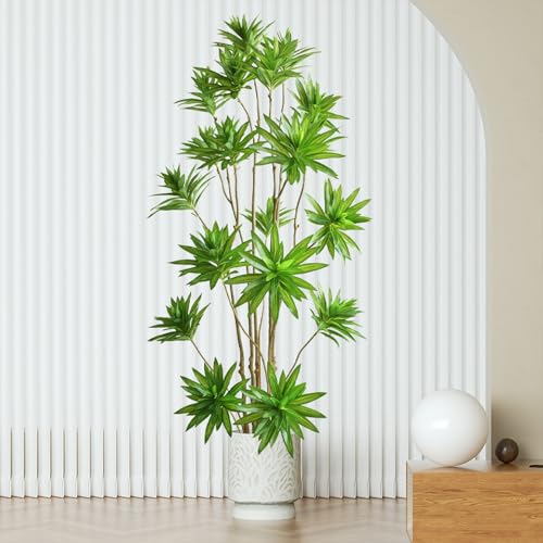 [LJKI] �h���Z�i �����s�v �O���[�� �ϗt�A�� �{���������� ��^ 150cm ���^ �����킩�Ȃ� �y���g��Ȃ� ���S�Ҍ��� �C���e���A ������� ���킢�� �������ȒP ���L �R�� �V���v�� �l�H ���A�� ���j�� �V�N �N���X�}�X �h�V�̓� �a��