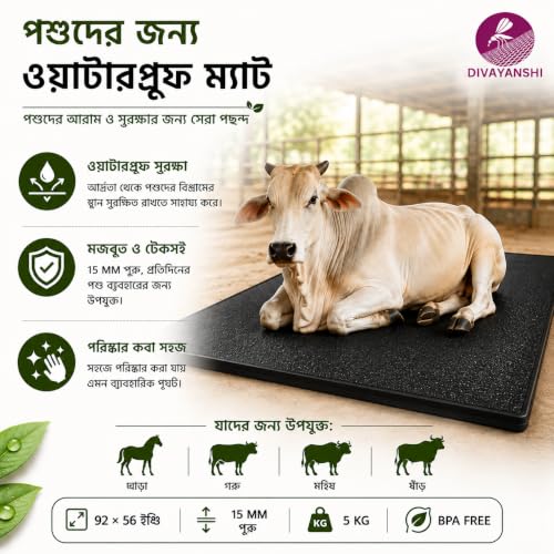 DIVAYANSHI Store DIVAYANSHI Animal Feeding Mat 92x56 Inch, 15mm, 5Kg, - Image 7