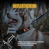 OneTigris Hundeleine 152cm-188cm, Bungee Jumping Design Leine Hund mit Tiger Zahn Metallclip und 2 Weiche Polsterung, Reflektierend Nylon Hundeleine Geeignet für Mittlere Große Hunde Schwarz