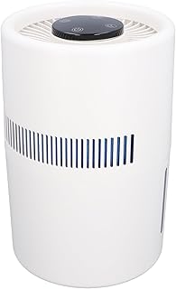 Dioche Purificador de Aire y Purificador de Aire y Humidificador 2 en 1 - Humidificador de Escritorio Silencioso de Gran Capacidad de 4 L para Oficina, Dormitorio Guardería - Potencia de 5 W,