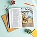 CSB Holy Bible for Kids, Large Print, Economy Edition, Black Letter, Presentation Page, Kid-friendly Gospel Presentation, Full-Color Inserts, Christ Connections, Easy-to-Read Bible Serif Type