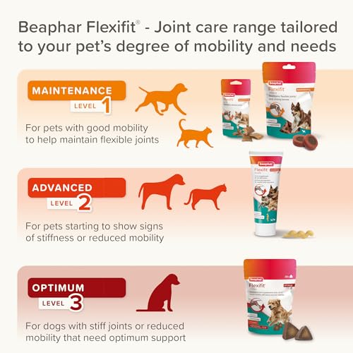 Beaphar - Flexifit® Joint Care Treats for Adult Dogs, 150g – Delicious Daily Joint Supplement – Helps Maintain Flexible Joints & Strong Bones – Contains Glucosamine, Omega 3 & Vitamin C ~ 80 Treats - Image 7
