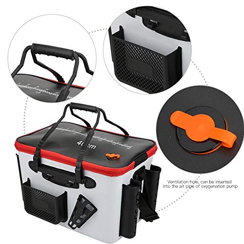 Vbestlife Contenitore per Pesci vivi Multifunzione...