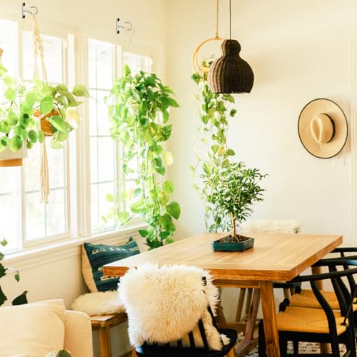 image for AnDock 2Pack 2.5Inch Ceiling Hooks for Hanging Plant, Hanger for Indoo