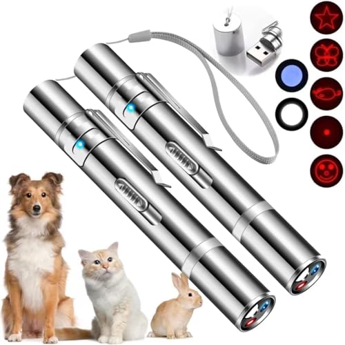 Damflew 2pcs Laser Pointer, Cat Toys for Indoor Cats, Kitten Dog Laser Pen Toy, Red Dot LED Light Pointer Interactive Toys for Indoor Cats Dogs, USB Charging, 5 Switchable Patterns