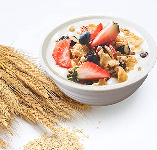 Cereal Bowls，6 Pack 24 Oz Bowls Set, Food Grade Safe Durable Pp Bowls For Soup, Salad, Cereal, Pasta, Yogurt, Heat And Cold Resistant, Dishwasher Safe Bowls，Eco- Friendly And Degradable #TOP4