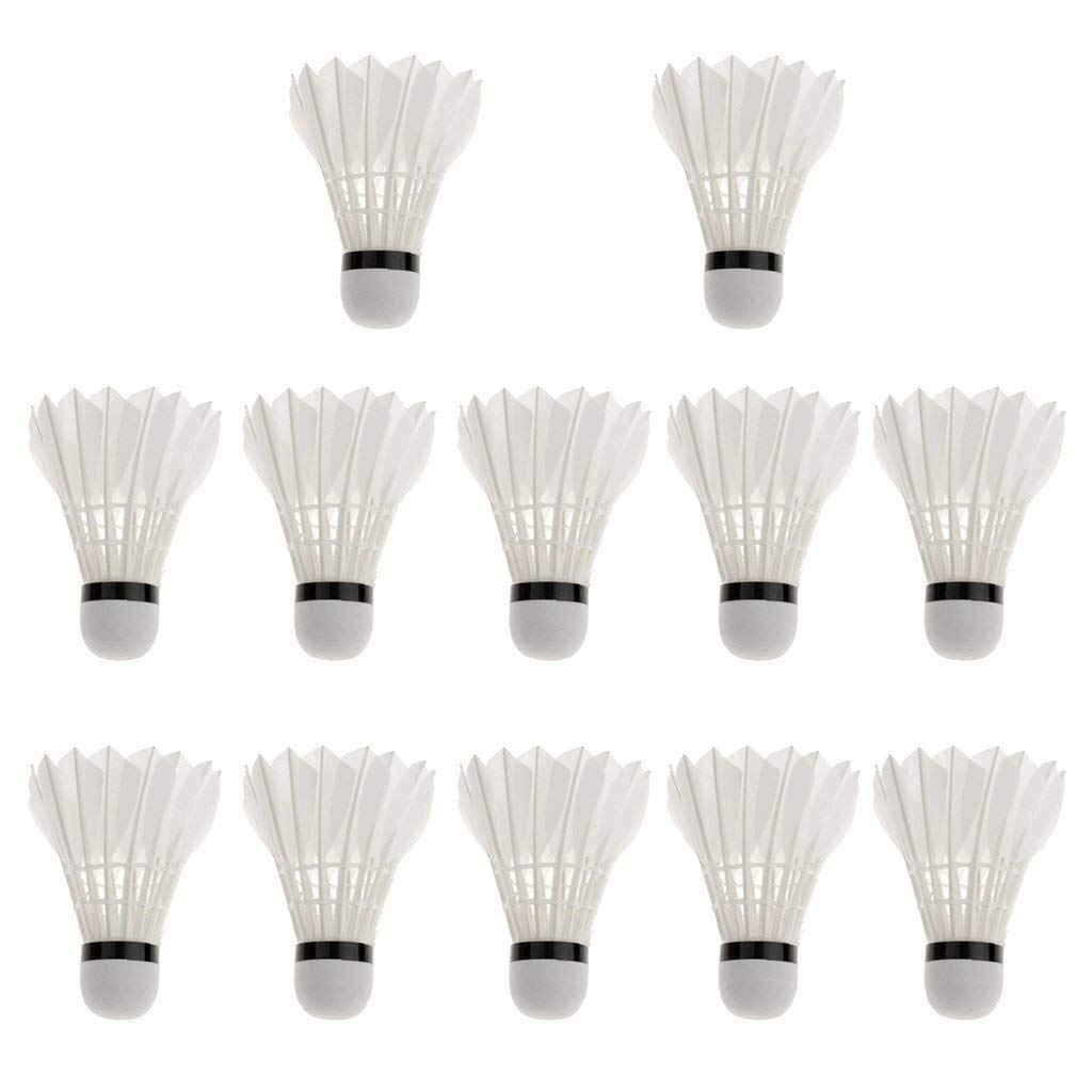 JAGMOOLYA Products Badminton Feather Shuttlecock Bounded Evenly by Nylon Thread (Speed 76, Medium) All Ages and Players (8) (B08VRZYGNY) Amazon Price History, Amazon Price Tracker