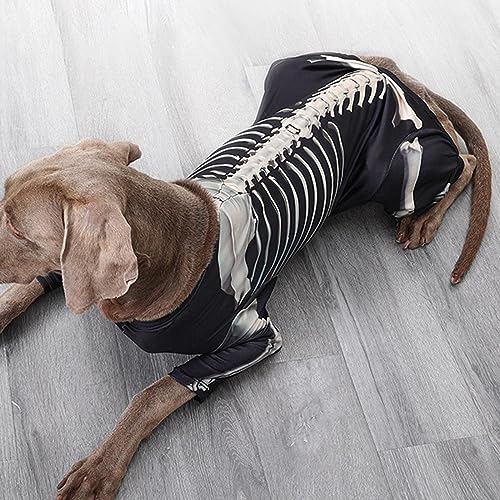 Photo complémentaire