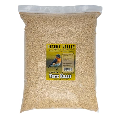Desert Valley White Millet Seed, All Natural, Non-GMO Premium Wild Bird Food for Cardinals, Finch, Song Birds, Buntings and More (10 Pounds)