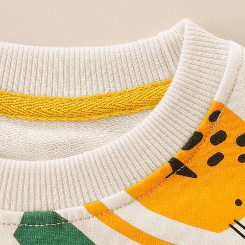 Boys Sweatshirts Casual Sweatshirts Cotton Sweatshirts Long Sleeve T-shirts Crew Neck Cartoon Tops for Boys-2113