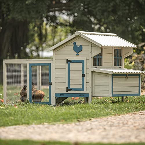 Banish Your Chickens' Housing Woes Top 10 Plastic Coops Reviewed and