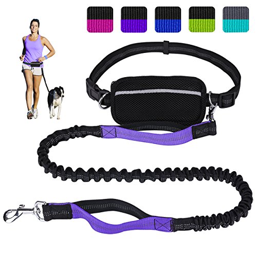 Hands Free Dog Leash for Running Walking Training Hiking, Dual-Handle Reflective Bungee, Poop
