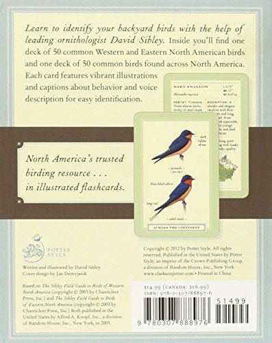 Sibley Backyard Birding Flashcards: 100 Common Birds of Eastern and