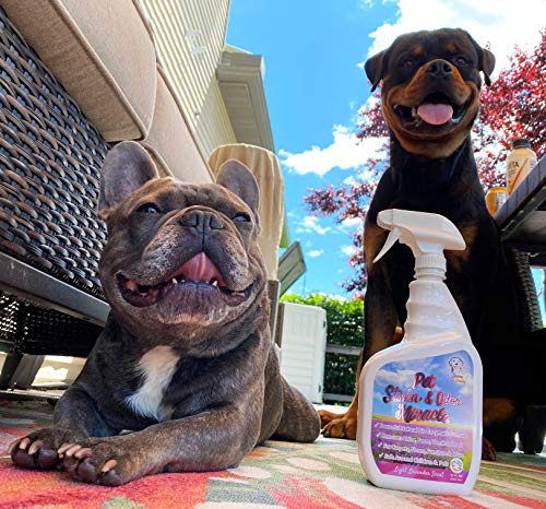 Pet Stain & Odor Miracle - Enzyme Cleaner for Dog and Cat Urine, Feces, Vomit, Drool (Fall Spice Scent, 32 FL OZ)