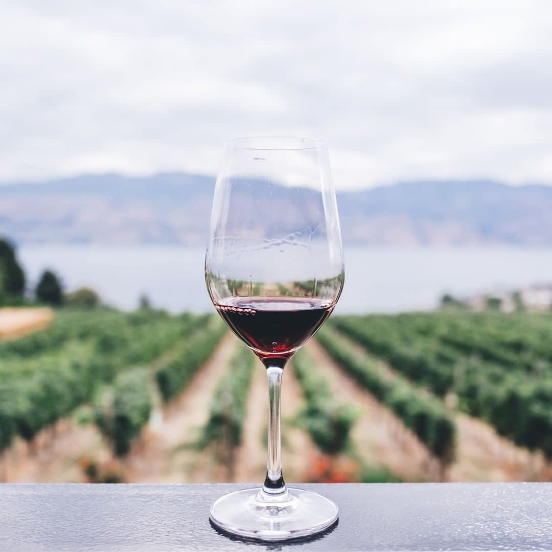 Pago del Cielo Celeste Roble, Tempranillo, Vino Tinto - 6 botellas de 75 cl, Total: 4500 ml