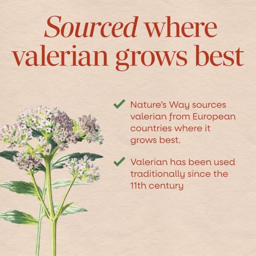 Nature's Way Valerian Nighttime Tablets