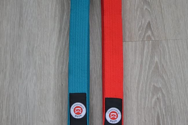 Ceinture de compétition à levier métallique assurant un gainage abdominal maximal