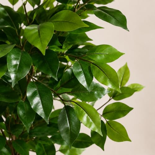 Miniatura 4 de Valyria Home - Planta Artificial Ficus - Tamaño 180 Cm - Pack De 2 Plantas De Plástico Grande Interior Y Exterior - Árbol Artificial Realista Y Exótico - Decoración Del Hogar Y Oficina