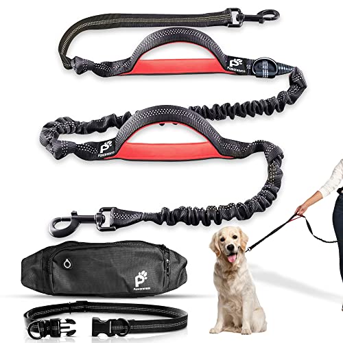 5 Best Hands Free Cross Body Dog Leashes For Hiking Morning Hiker