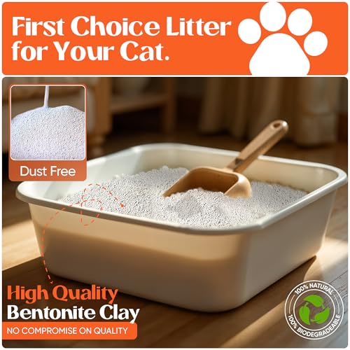 Image of BioKitty Clumping Cat Litter, Highly Absorbent Natural Mineral Bentonite Cat Sand Litter, Unscented Long Lasting Odour Control Cat Litter, Cat Litter Clumping, 10L (UNSCENTED)