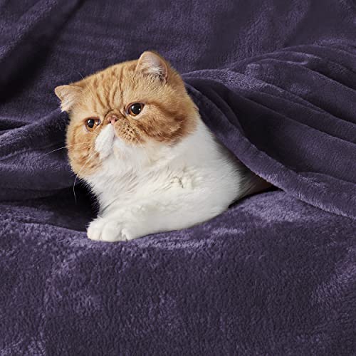 Image of Bedsure GentleSoft Fleece Bed Blankets Large Size Purple - Soft Lightweight Fuzzy Cozy Luxury Oversized King Blanket Microfiber, Room Home Decor Gifts for Women and Men, 120x120 inches