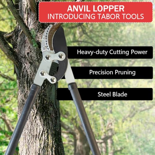 Image of HASTHIP Branch Cutter For Thick Branches, 30in SK5 Bypass Lopper, 2in Cut | Controlled Pruning, Reduced Hand Strain, Durable Steel Blade, Bypass Action, Easy Branch Removal, Garden Tree Care