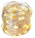 Fachhandel Plus Micro LED Draht Lichterkette mit 100 LEDs Timerfunktion Indoor Batteriebetrieb