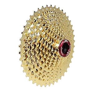 m bike parts feine Fahrradteile 11-42 Kassette 11-Fach Gold Star – Ritzel passend für Shimano XTR.
