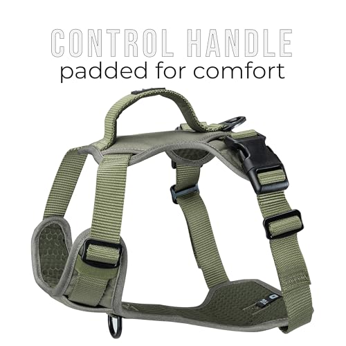 TUG Dog Harness with 2 Leash Connection Points | Adjustable, Padded, Lightweight | Handle on Back | No-Pull Front Clip (Medium, Green) by TUG - Image 2