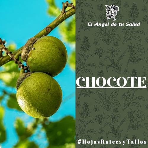 El &Aacute;ngel de tu Salud - Chocote**