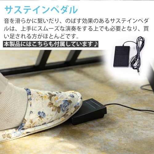 Carina Carina LS290 の商品画像 6