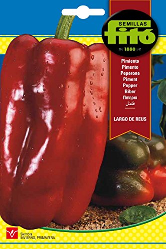 Semillas Fitó 257 - Semillas de Pimiento Largo de Reus