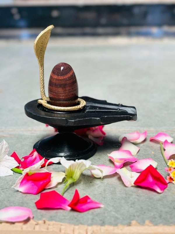 Image of Original Black Narmadeshwar 2 Inch Shivling, Lingam, Shiva Lingam & 4 Inch Jaladhari with Naag Yoni Base, Lingam Holder, Shivling Stand for Home Puja
