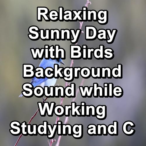 Relaxing Bird Sounds