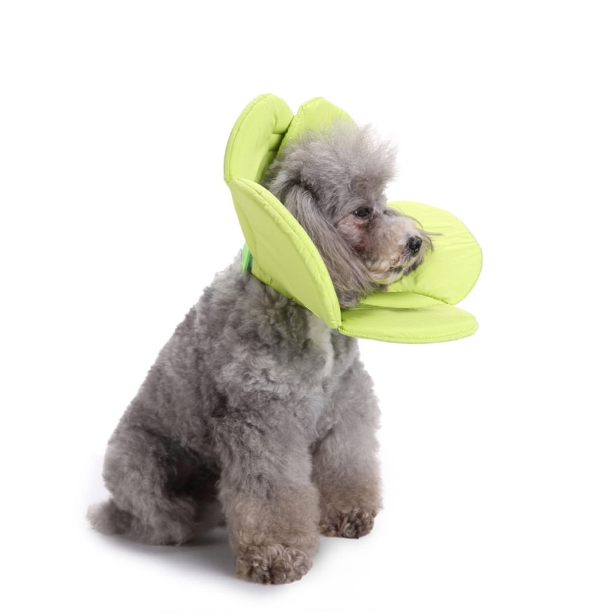 BESPORTBLE 3pezzi Collare Protettivo per Animali Domestici Collare Elisabettiano per Guarigione Ferite Design Ergonomico Misura Media Circonferenza Collo