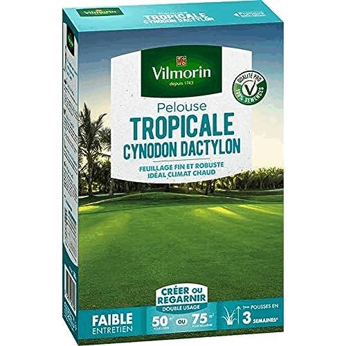 Vilmorin 4309012 Pelouse Tropicale Cynodon Dactylon, Vert, 500 g