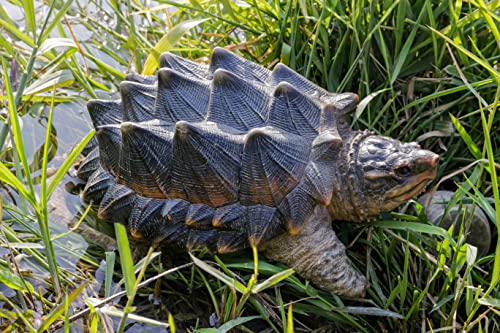 Hi-Line Gift Ltd. SNAPPING TURTLE STATUE, Light Brown