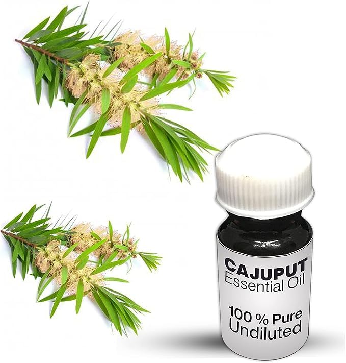 Huile essentielle de cajeput 100% pure pour assainir l'air