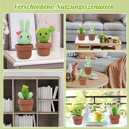 Kit de feutrage à l'aiguille laine à feutrer cactus accessoires Bamru
