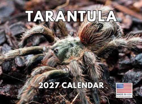 Tarantula Calendar 2027 Spider Monthly Wall Calender 12 Month