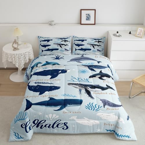 Whale Comforter Set Twin for Kids Boys Girls,Coastal Animal Seal Sea Lion Dolphin Bedding Set,Beach Ocean Creatures Under the Sea Down Comforter,Whale Duvet Insert