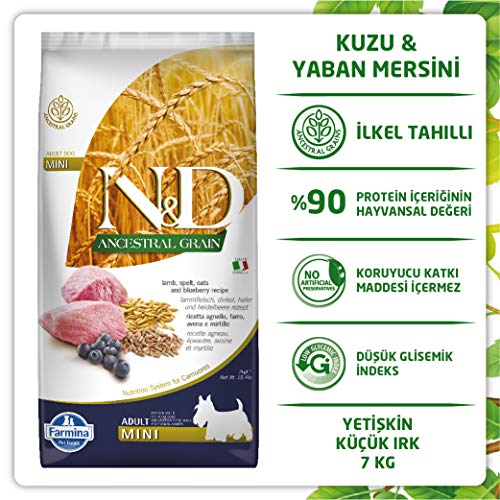 Farmina N&D ANCESTRAL Grain Pellets Hundefutter (Trockenfutter, mit hochwertigen Vitaminen und natürliche Antioxidantien, ohne Mais, Zutaten: Lamm, Dinkel, Hafer und Blaubeere, Portionsgröße: 7 kg)