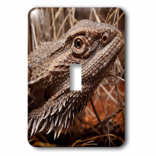Interrupteur simple lézard pour remplacer vos plaques blanches - 2