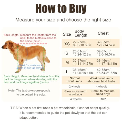 Fauteuil roulant pour chien paralysé : solution ajustable 4 roues membres postérieurs - 6
